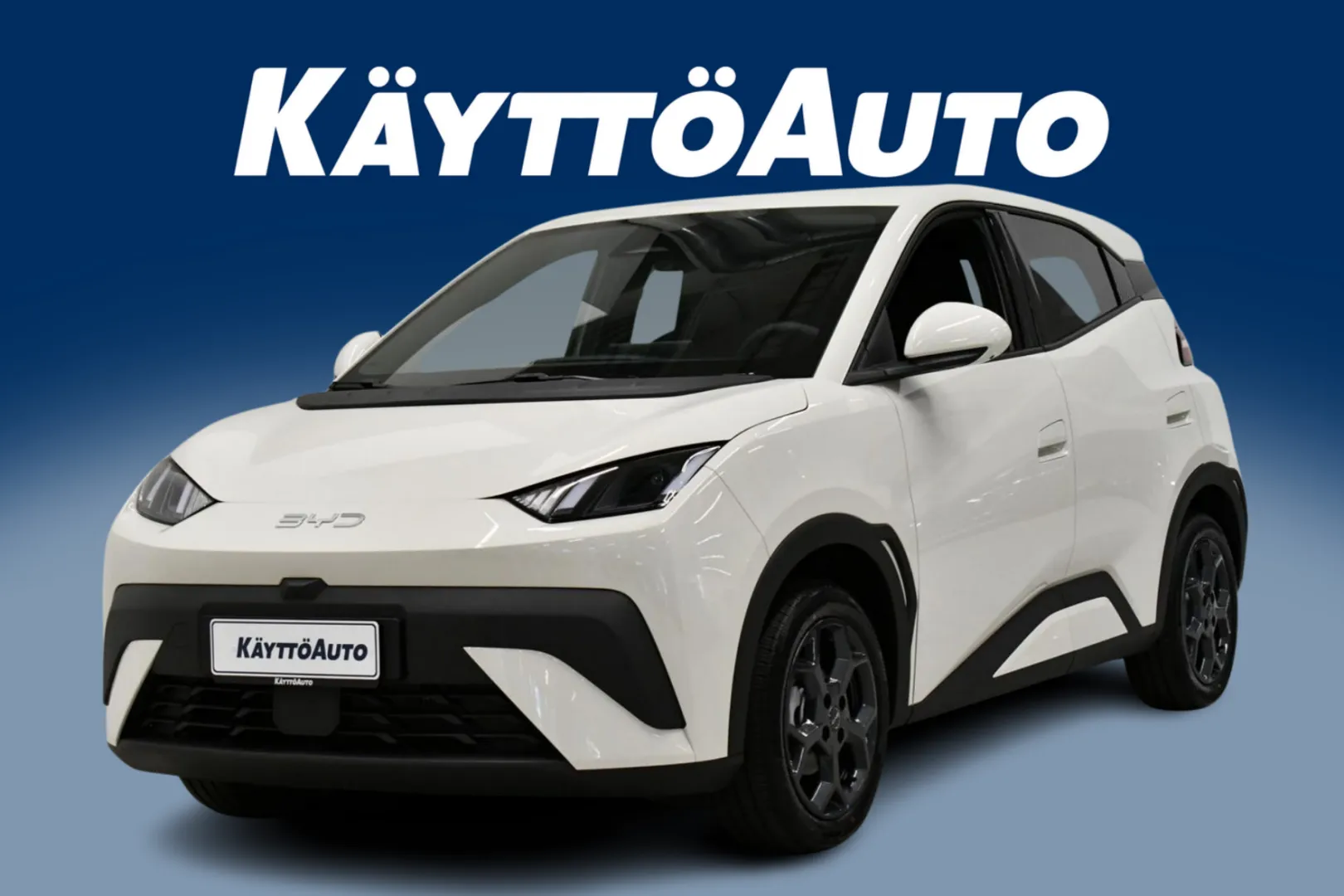 BYD Dolphin Surf FSK-773 carousel image